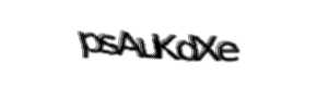 Security check image, please type the characters shown