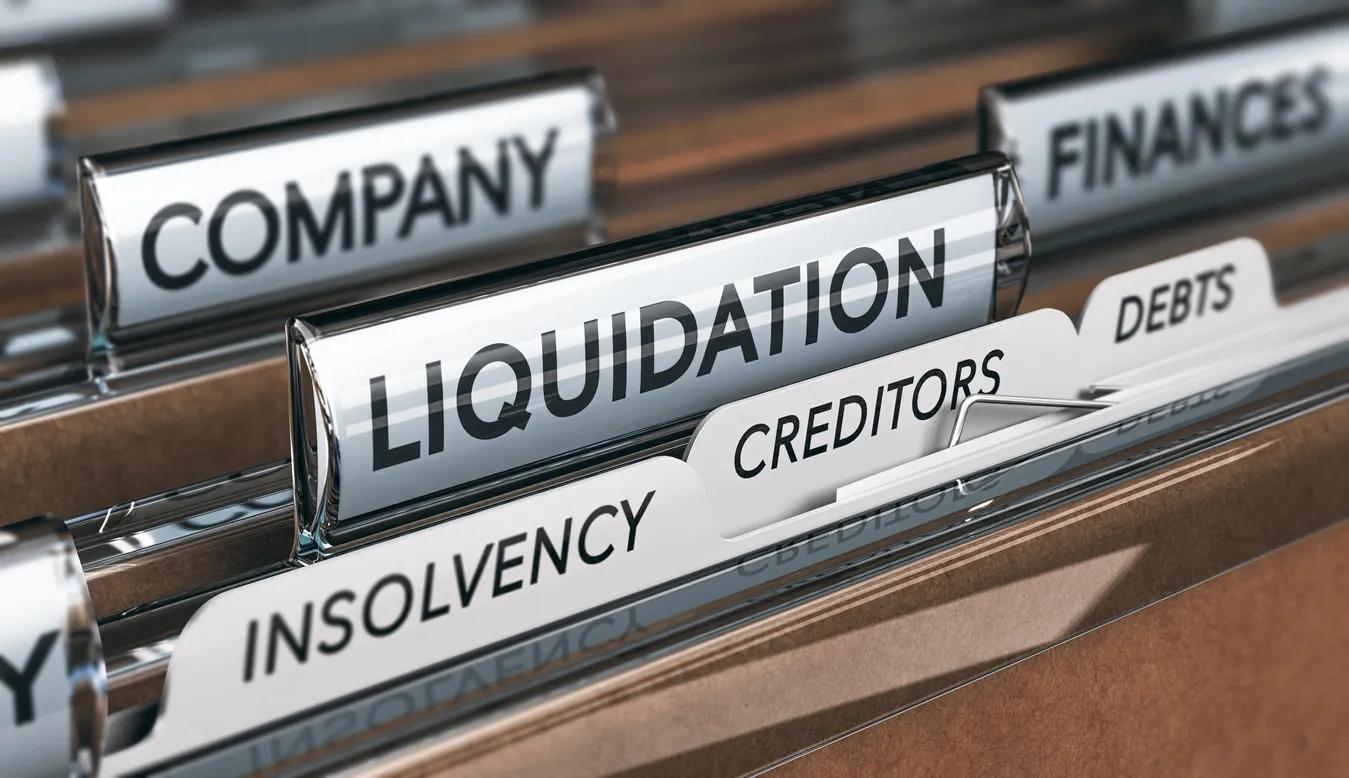 A file showing business insolvencies and debt